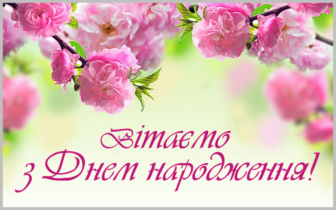 pappdn